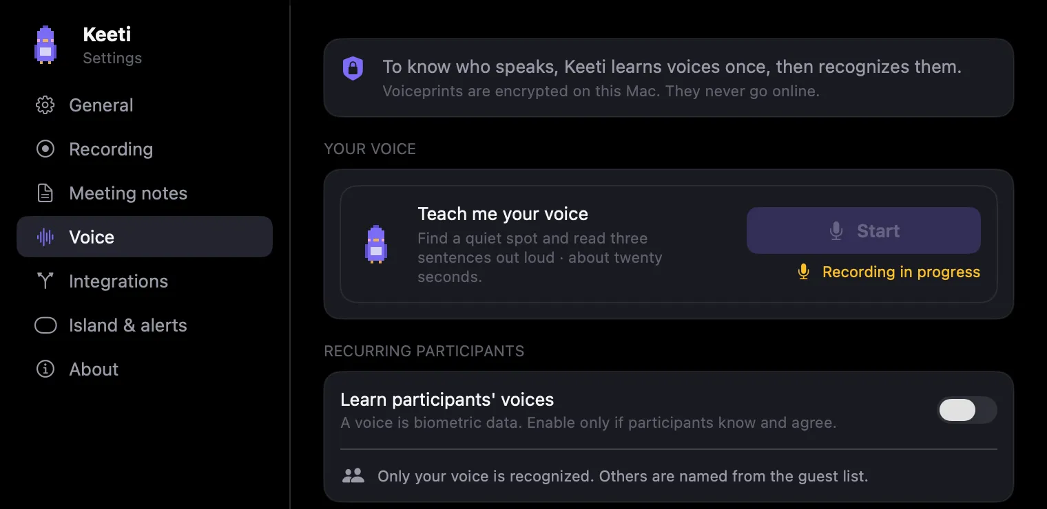 Settings, Voice page